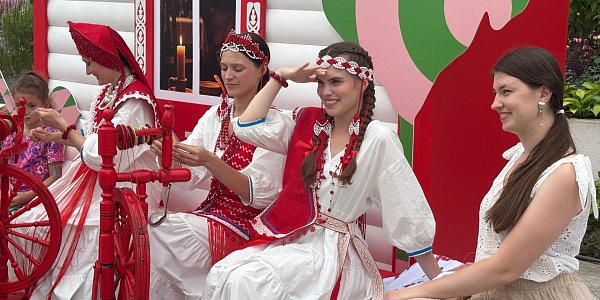 1784100772_62hhv1jtgl044k37xsc79kfleqzjfxsijpg.jpg