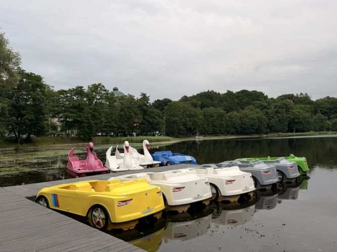1783400149_a90cc7a638b344b49ae8da65301cc9b4jpg.jpg