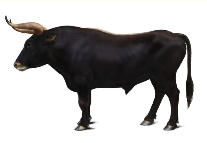 1742898261_snimokekrana20250306v135537png.png