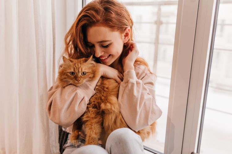 1776630470_relaxedsmilinggirlplayingwithherfluffycatindoorshotamazingladyholdingpetjpg.jpg