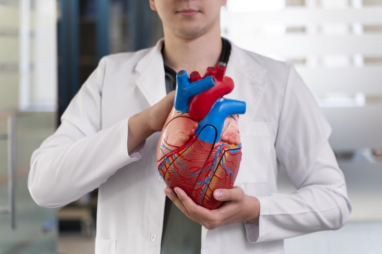 1741965130_malestudentpracticingmedicinejpg.jpg