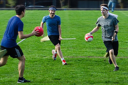 1786918553_mugglequidditchgameinvancouverjpg.jpg