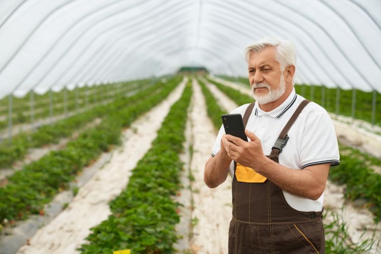 1784879692_agedfarmerwithsmartphonehandsstandinggreenhousejpg.jpg