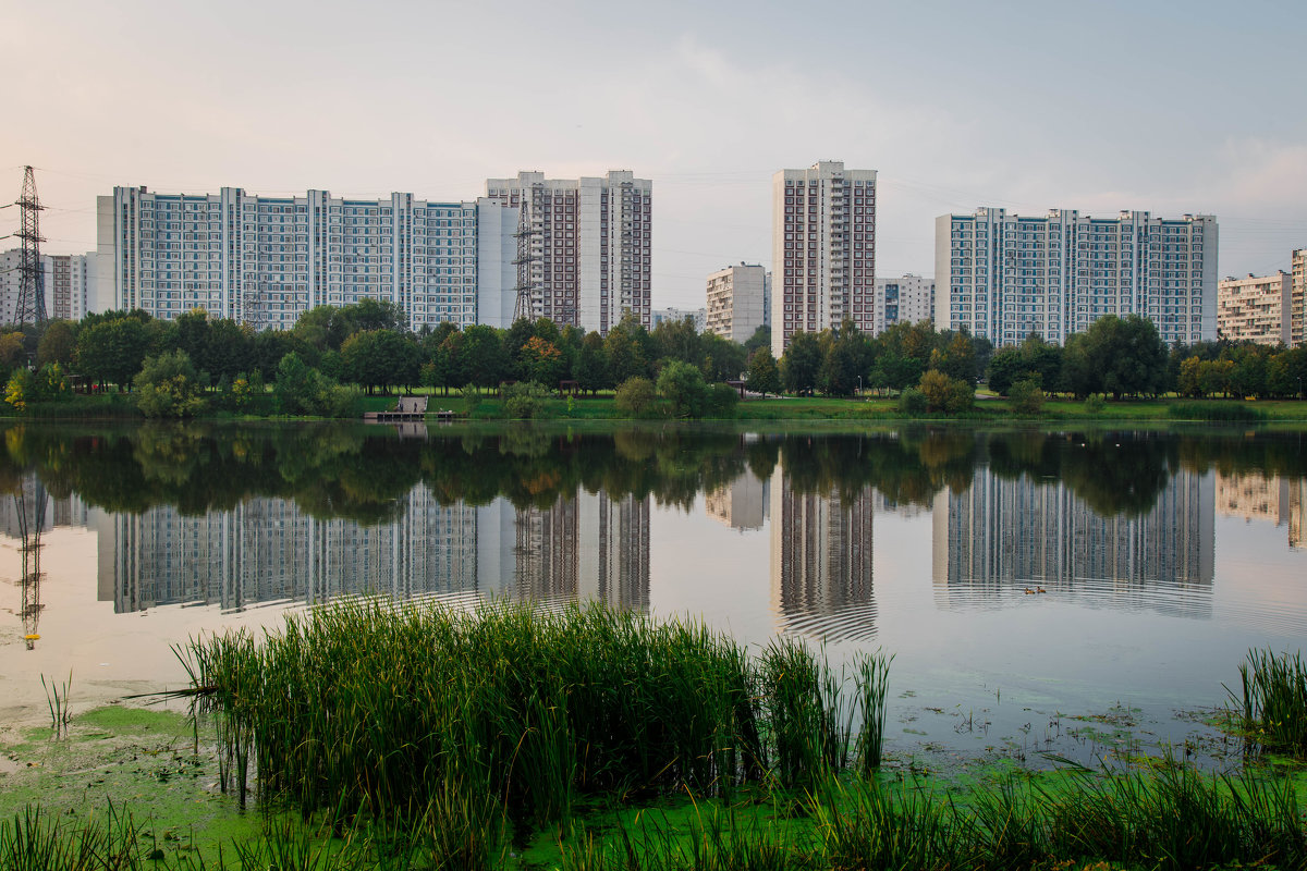 Несколько районов. Район Братеево. Братеево район Москвы. Братеево Марьино. Братеево против Марьино.