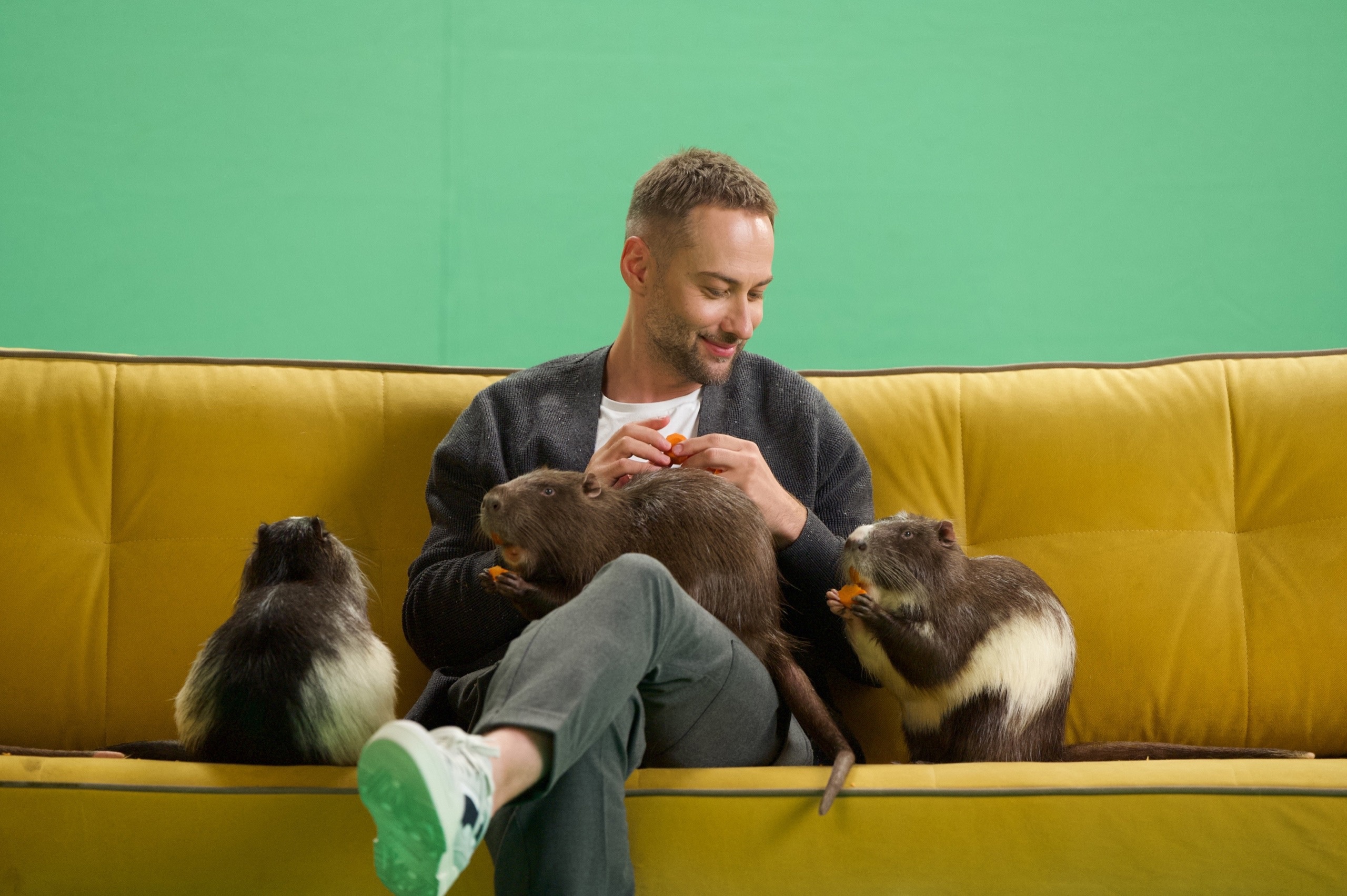 Шепелев. Шоу в кругу друзей шепелев. Шоу в кругу друзей шепелев. Шепелев. Ведущий шепелев.