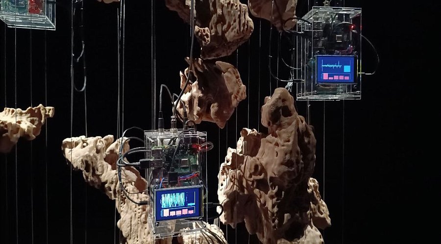 Ирина Резник