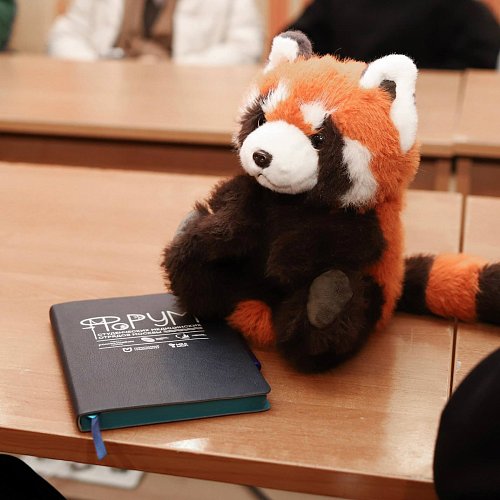 Пироговский Университет