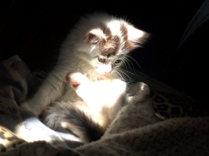 Личное фото. Автор - Федосова Елизавета