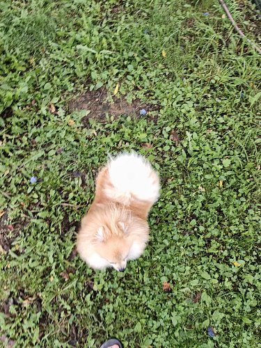 Тестовый снимок на скорость автофокуса