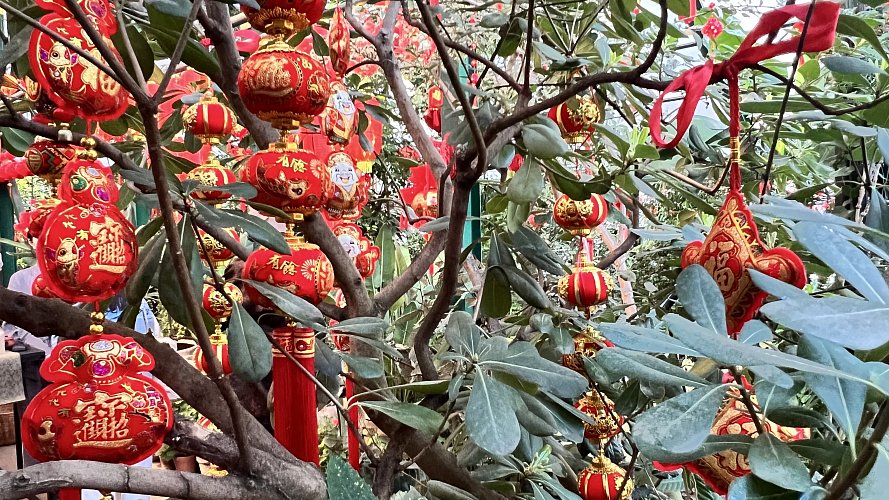 Ольга Асмолова