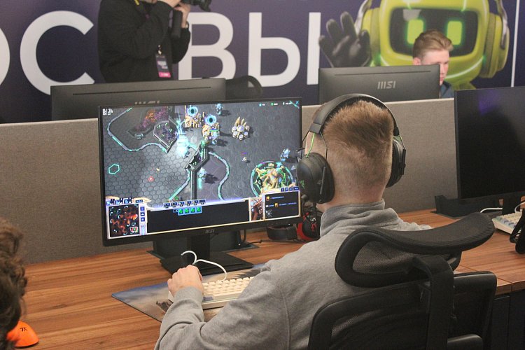 Виолетта Сокол