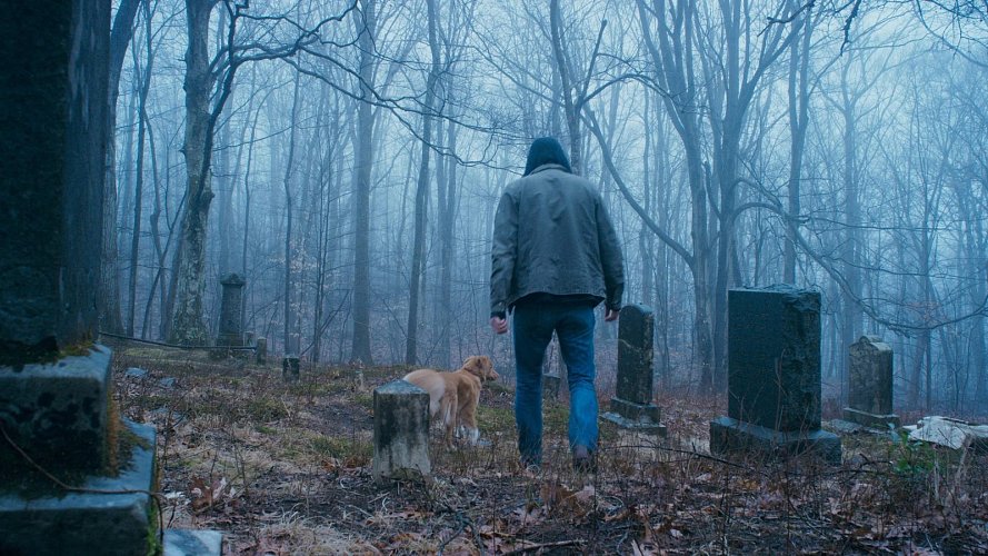 Кадр из фильма «Глазами пса» (2025)