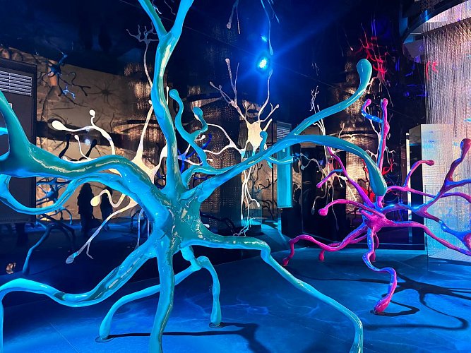 Евгения Солдатова