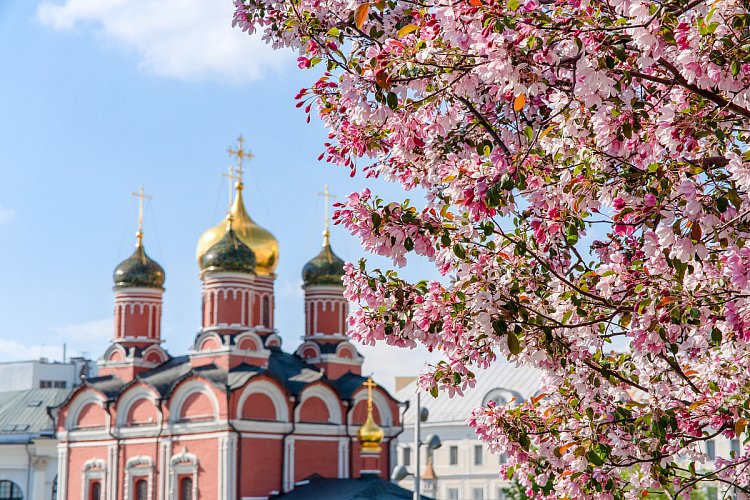 mos.ru