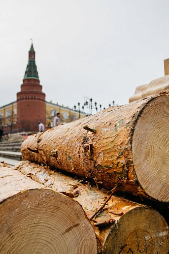 На строительство декораций у Кремля ушло 300 бревен.