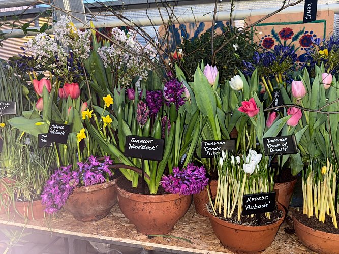 Рудник Ульяна