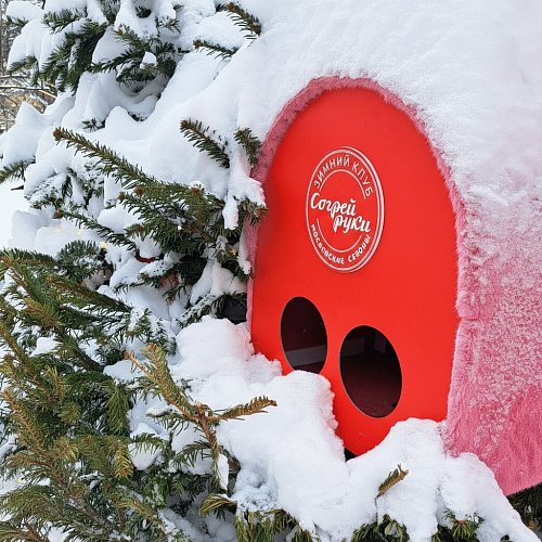 Марковский Михаил, Марченкова Анастасия