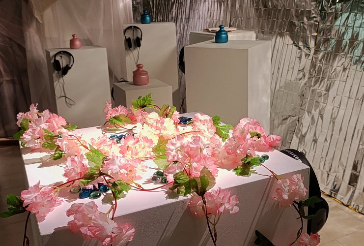 Анастасия Широкова