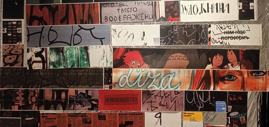 Анастасия Широкова