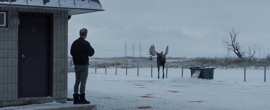 Кадр из фильма «Нормал»