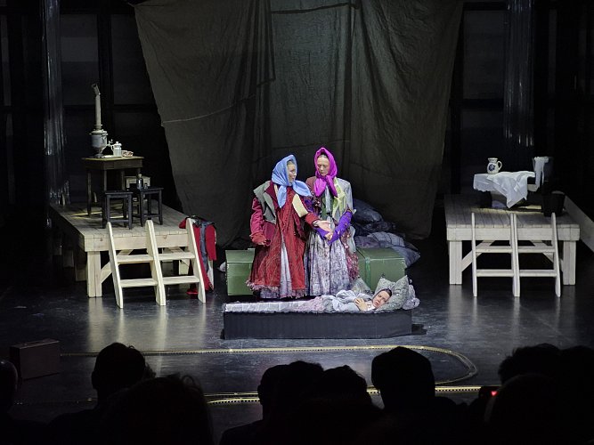 Анастасия Торшина