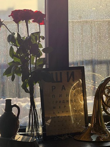 Автор: Тарасова Елизавета