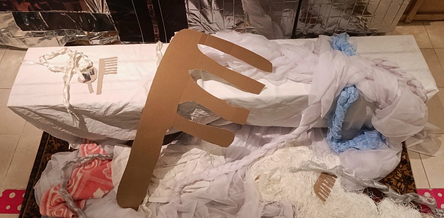 Анастасия Широкова