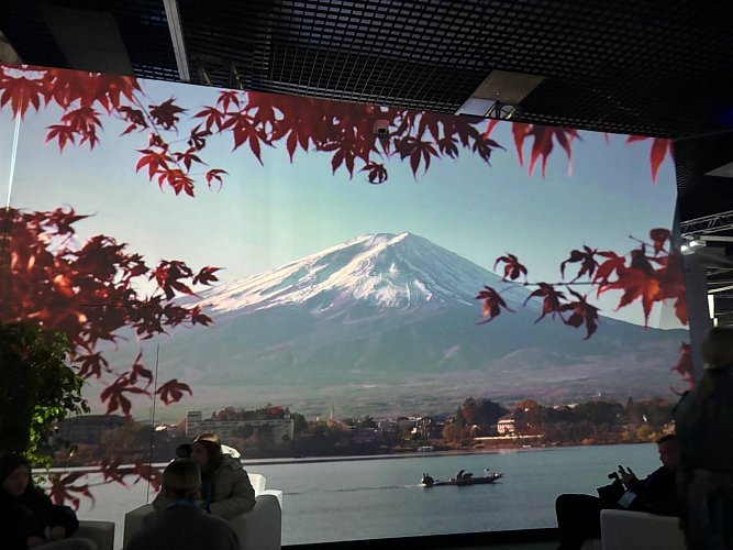 Валентина Глущенко