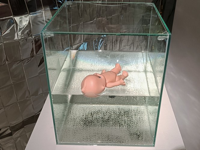 Анастасия Широкова