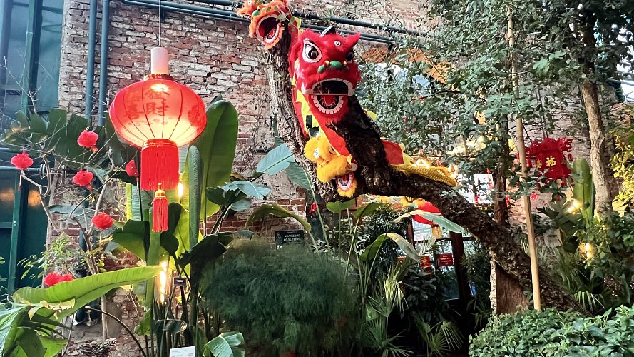 Ольга Асмолова